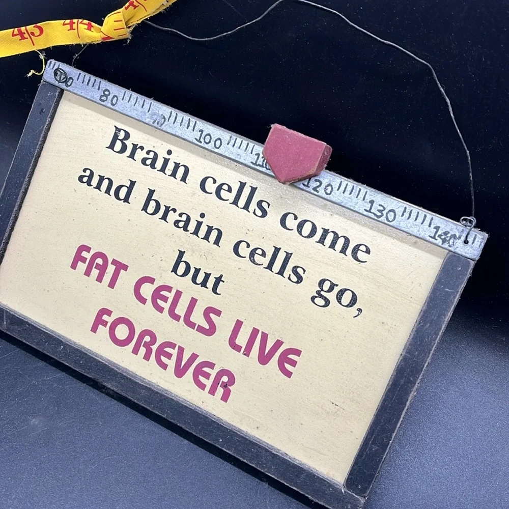 Primitive Humorous Wall Plaque Hanging Sign 
